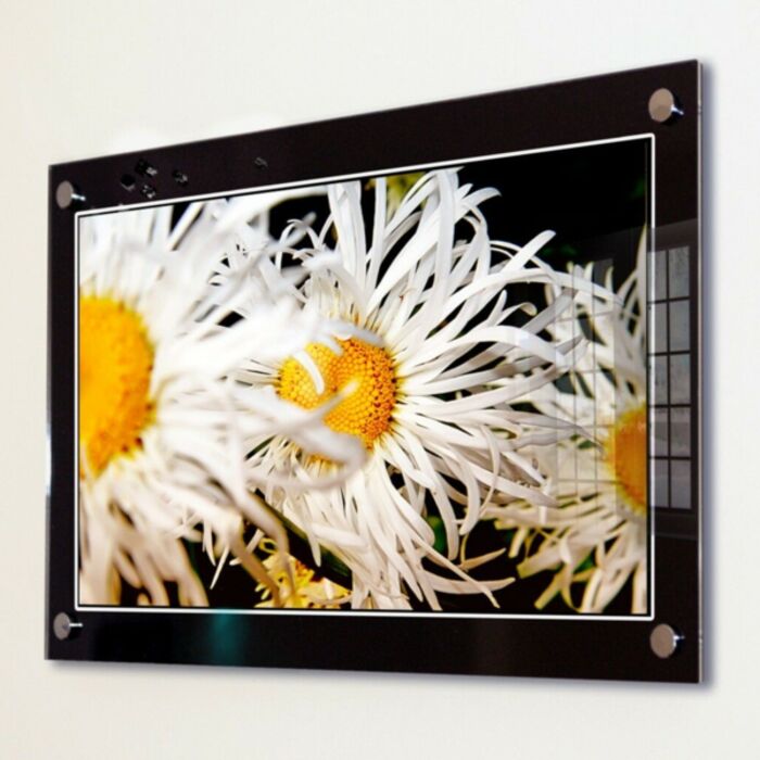 Acrylic Prints Thumbnail